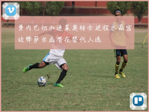 费内巴切加速莱奥转会进程水晶宫边锋萨尔成潜在替代人选