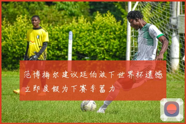 范博梅尔建议廷伯放下世界杯遗憾立即度假为下赛季蓄力