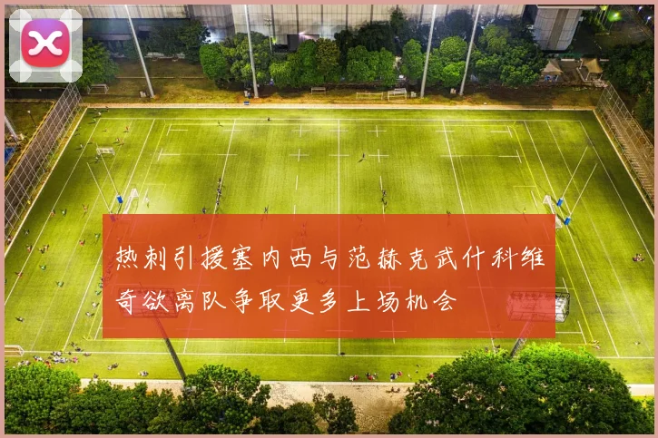 热刺引援塞内西与范赫克武什科维奇欲离队争取更多上场机会